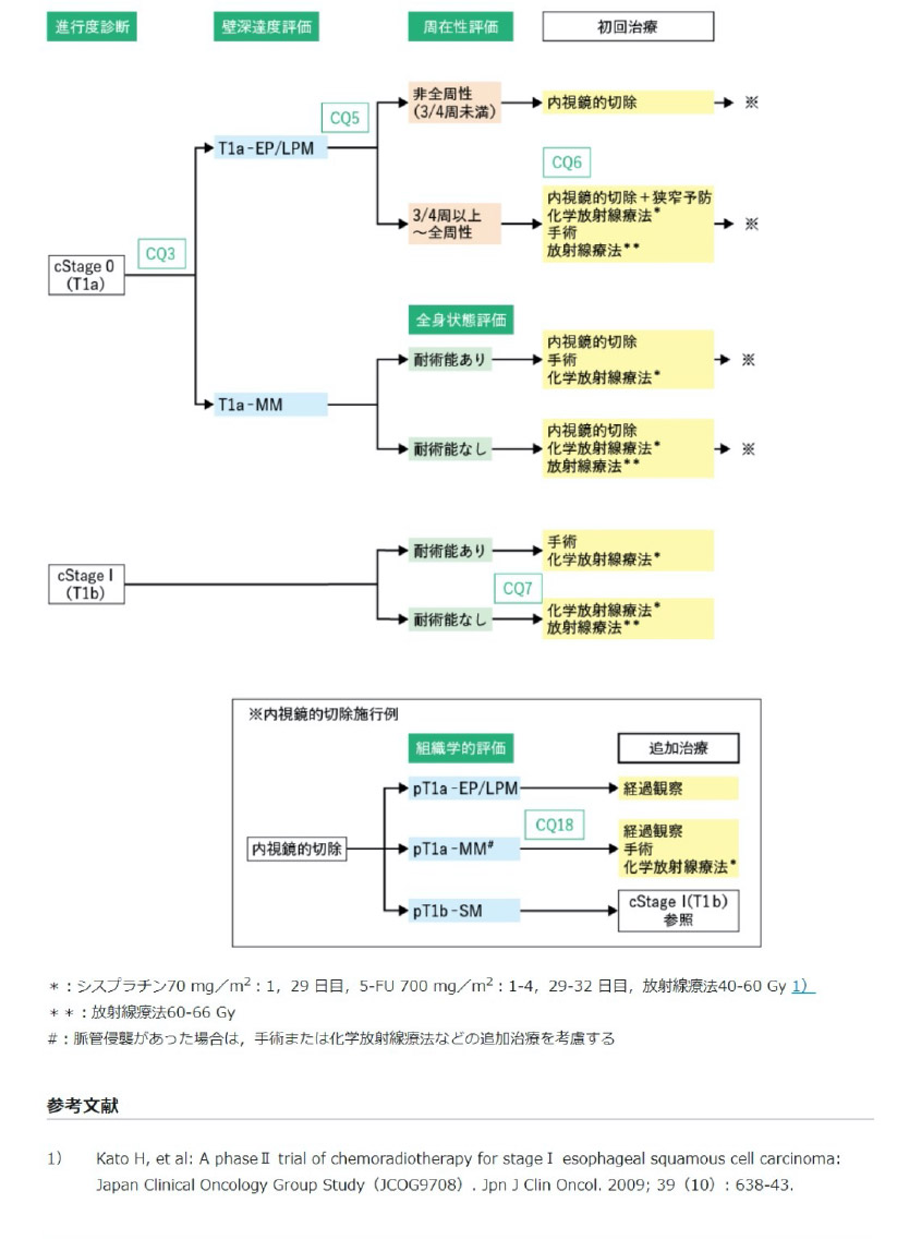 cStage0, I食道がん治療のアルゴリズム