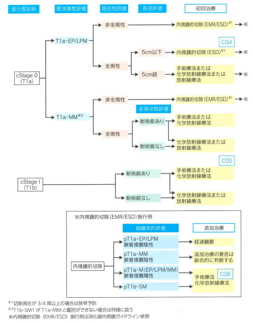 cStage0, I食道がん治療のアルゴリズム