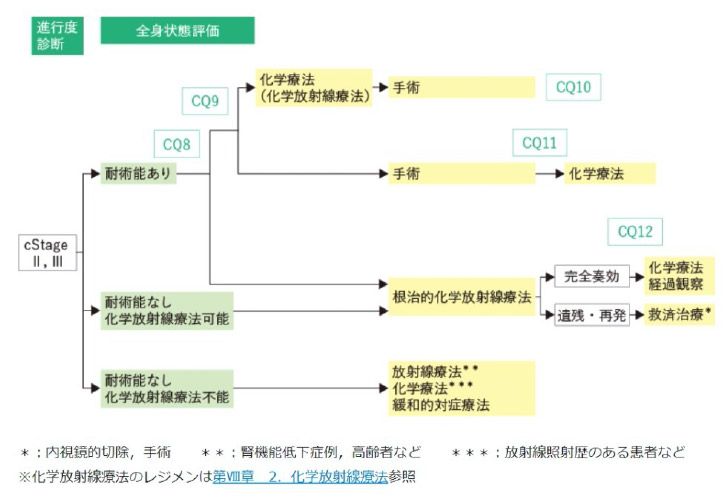 cStageII, III食道がん治療のアルゴリズム