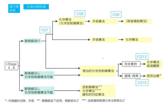 cStageII, III食道がん治療のアルゴリズム