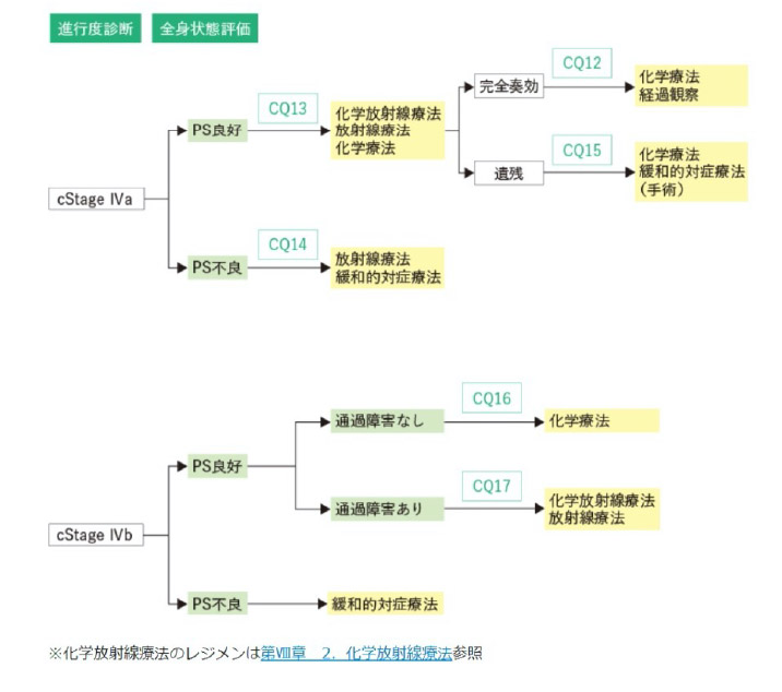 cStageIV食道がん治療のアルゴリズム