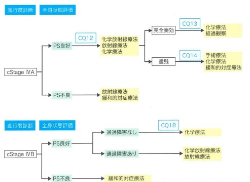 cStageIV食道がん治療のアルゴリズム