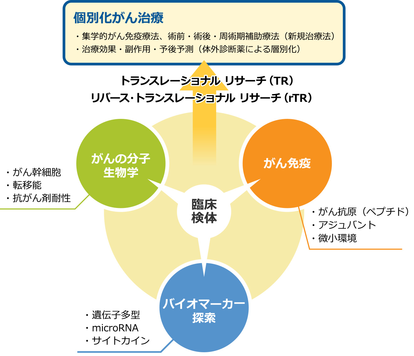 研究体制：消化器・腫瘍外科学講座