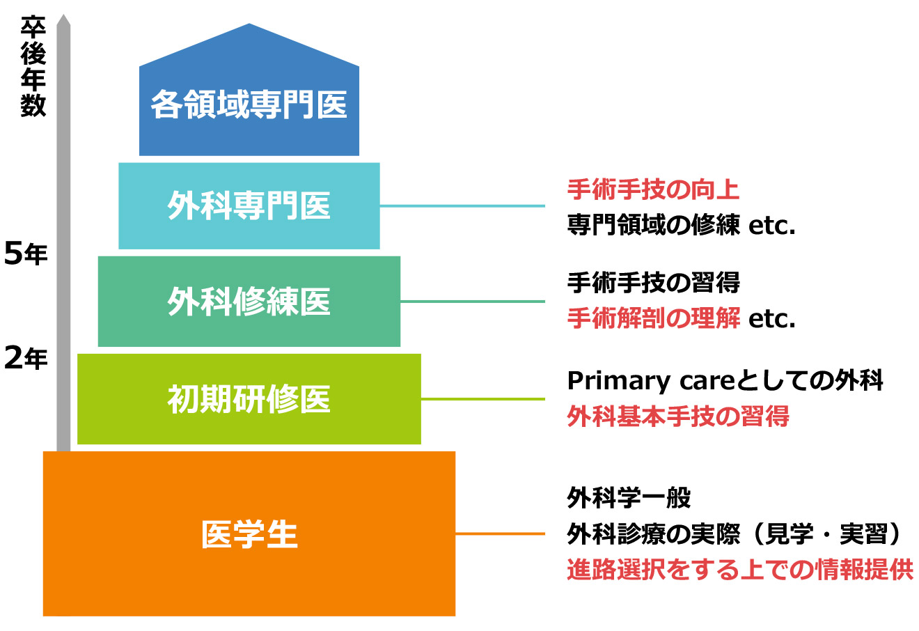 学生、若手医師に対する外科教育