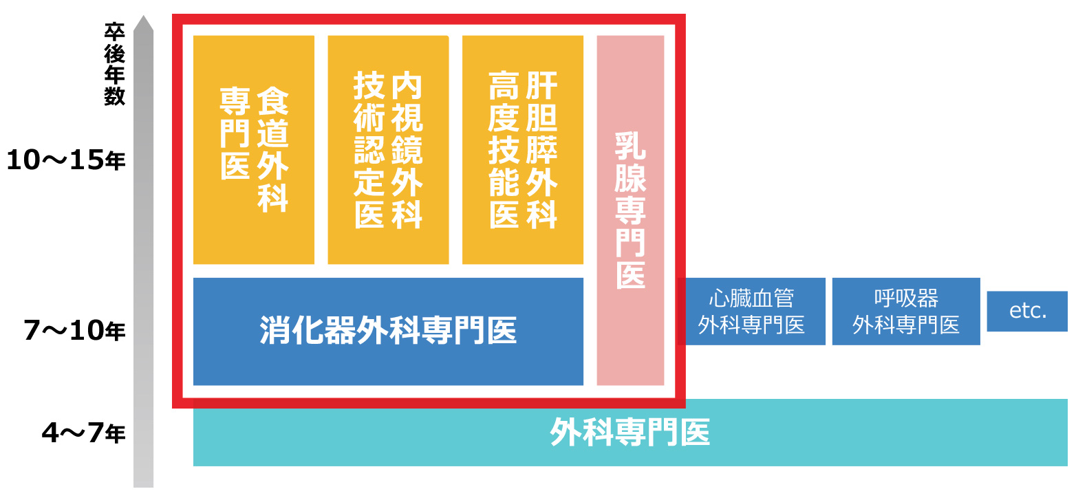 当科で取得できる専門医