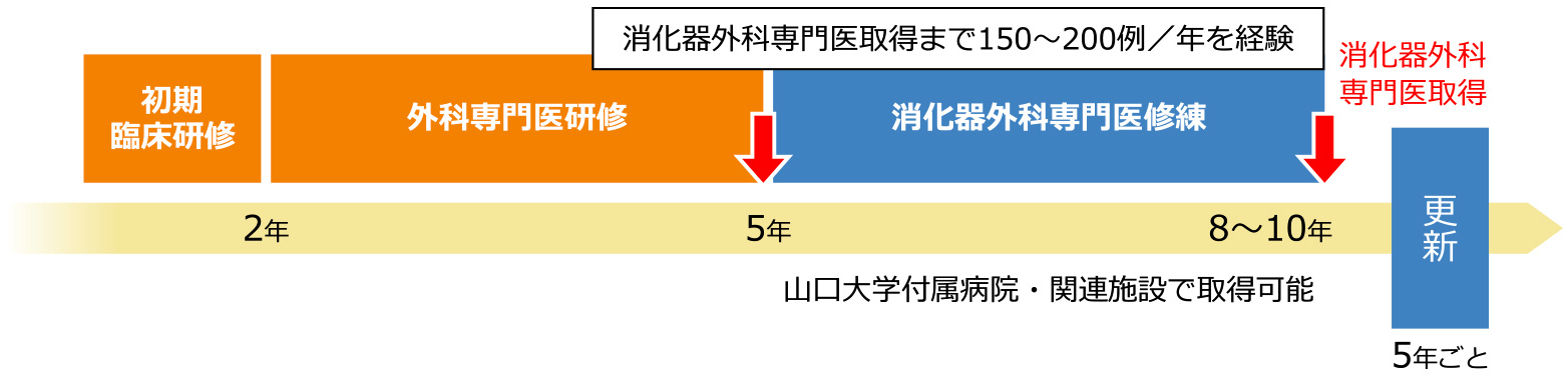 外科専門医取得に必要な手術症例数