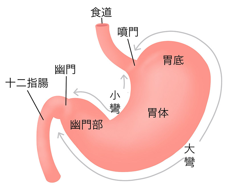 さんずい に 胃